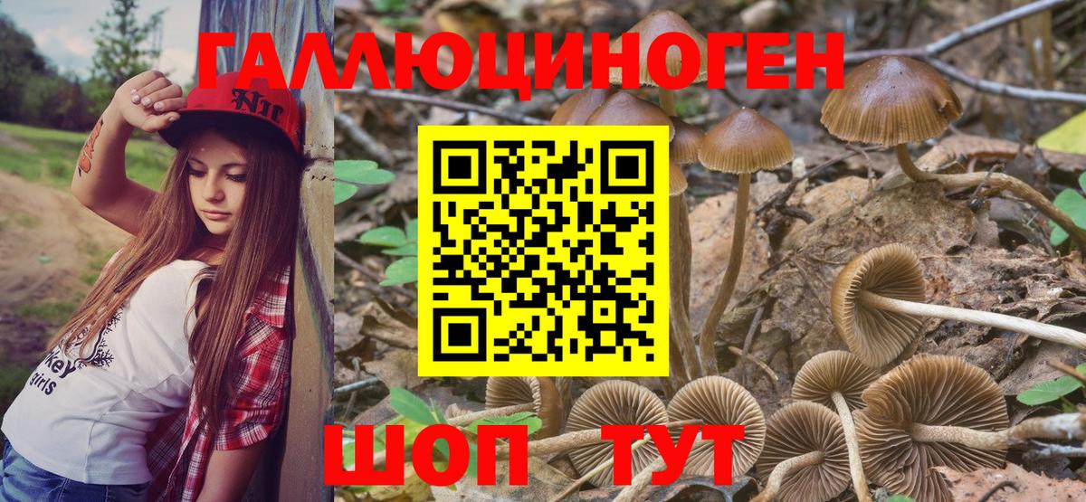 Псилоцибиновые грибы мухоморы Майский
